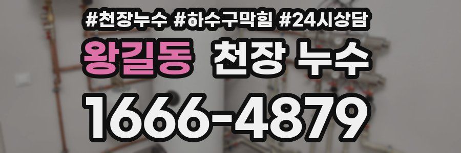 왕길동 천장 누수