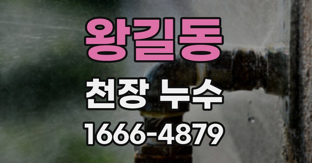 왕길동 천장 누수