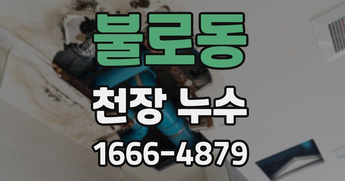불로동 천장 누수