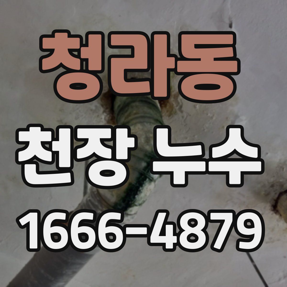 청라동 천장 누수