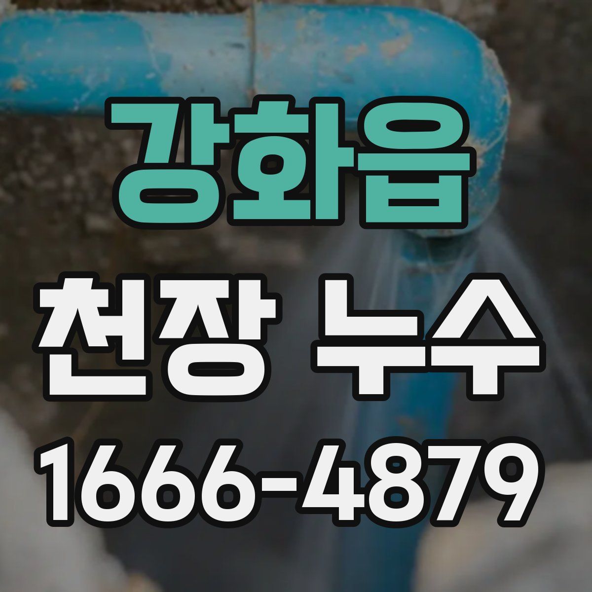 강화읍 천장 누수