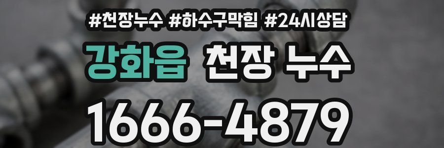 강화읍 천장 누수