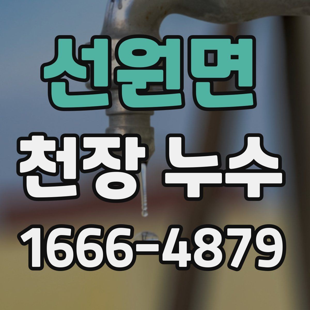 선원면 천장 누수 천장 얼룩이 이동하는 것처럼 보일 때