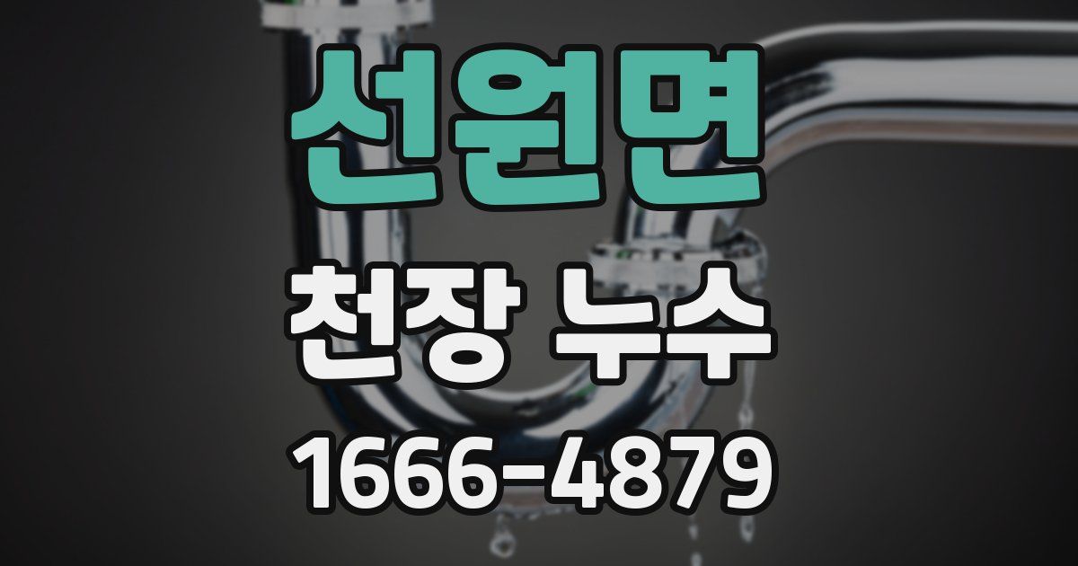 선원면 천장 누수