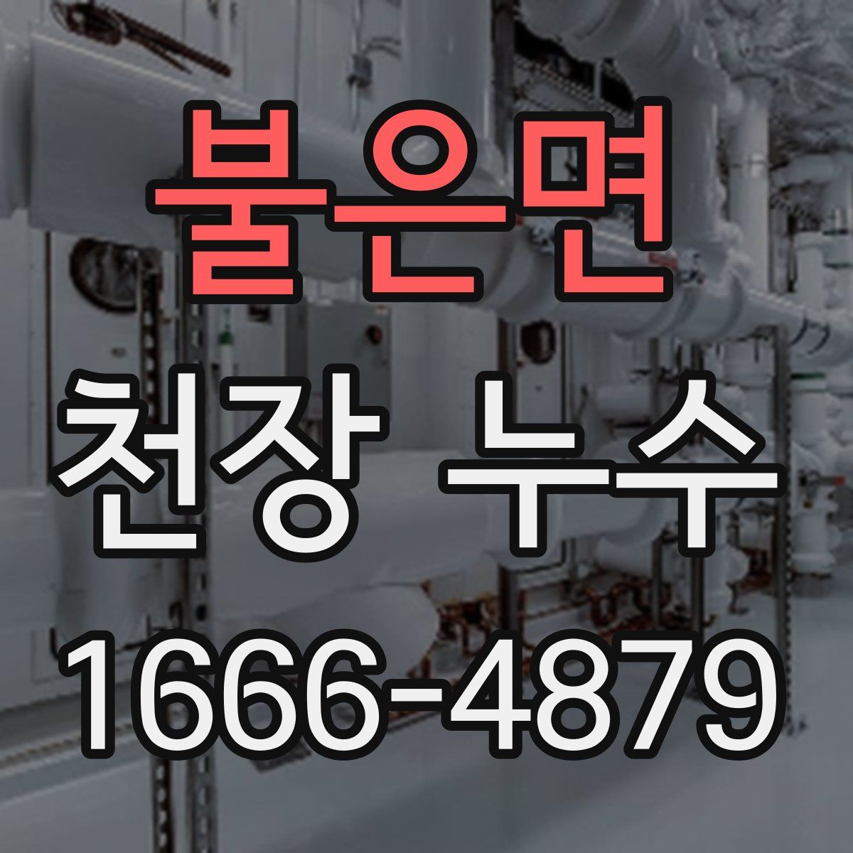 불은면 천장 누수