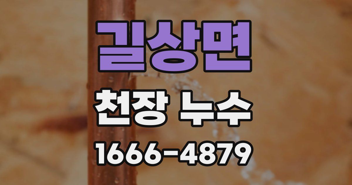 길상면 천장 누수