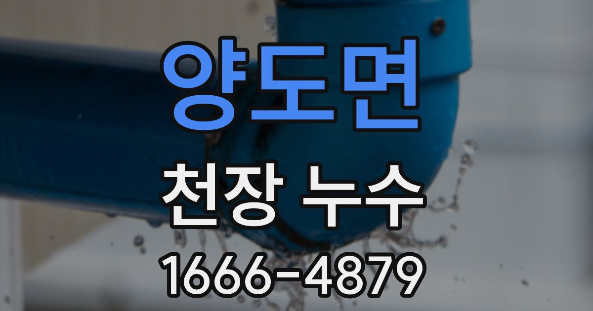 양도면 천장 누수