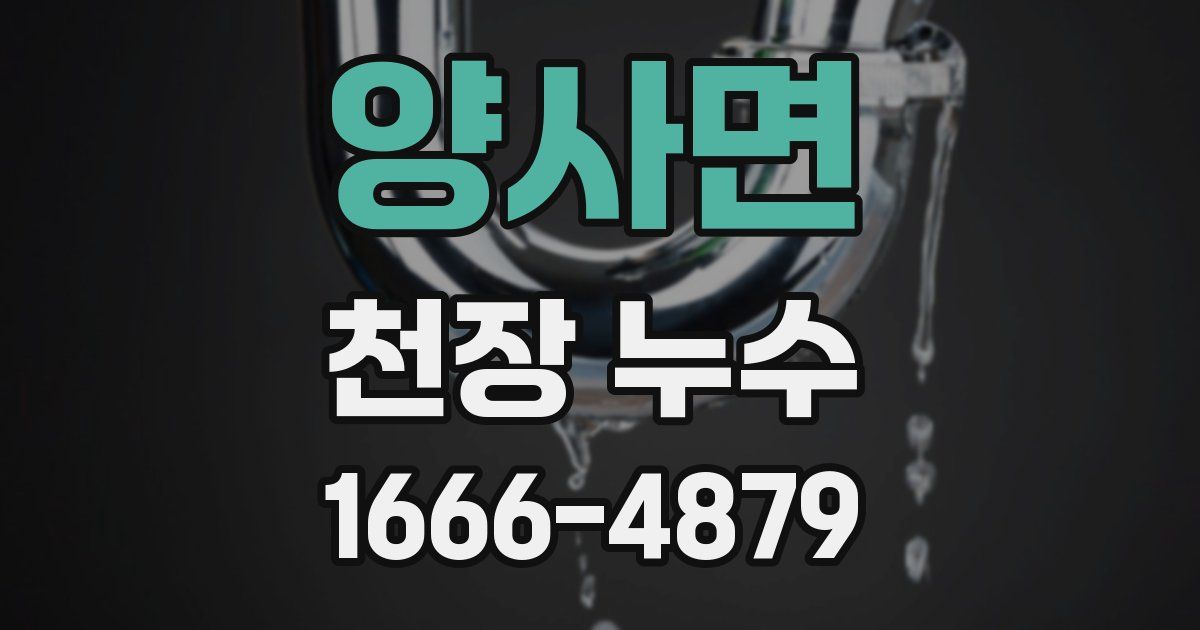 양사면 천장 누수