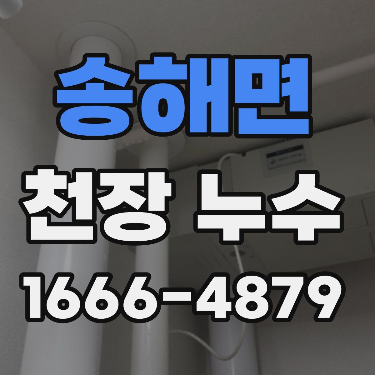 송해면 천장 누수