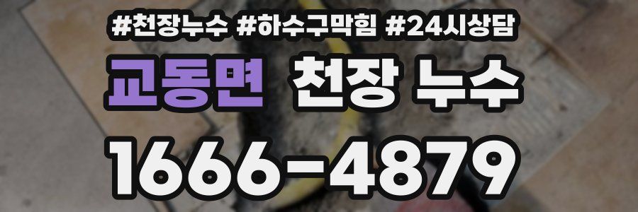 교동면 천장 누수