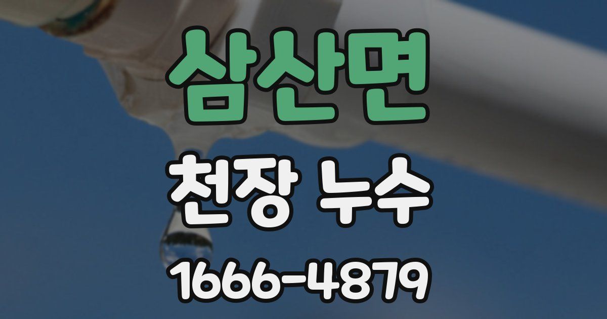 삼산면 천장 누수