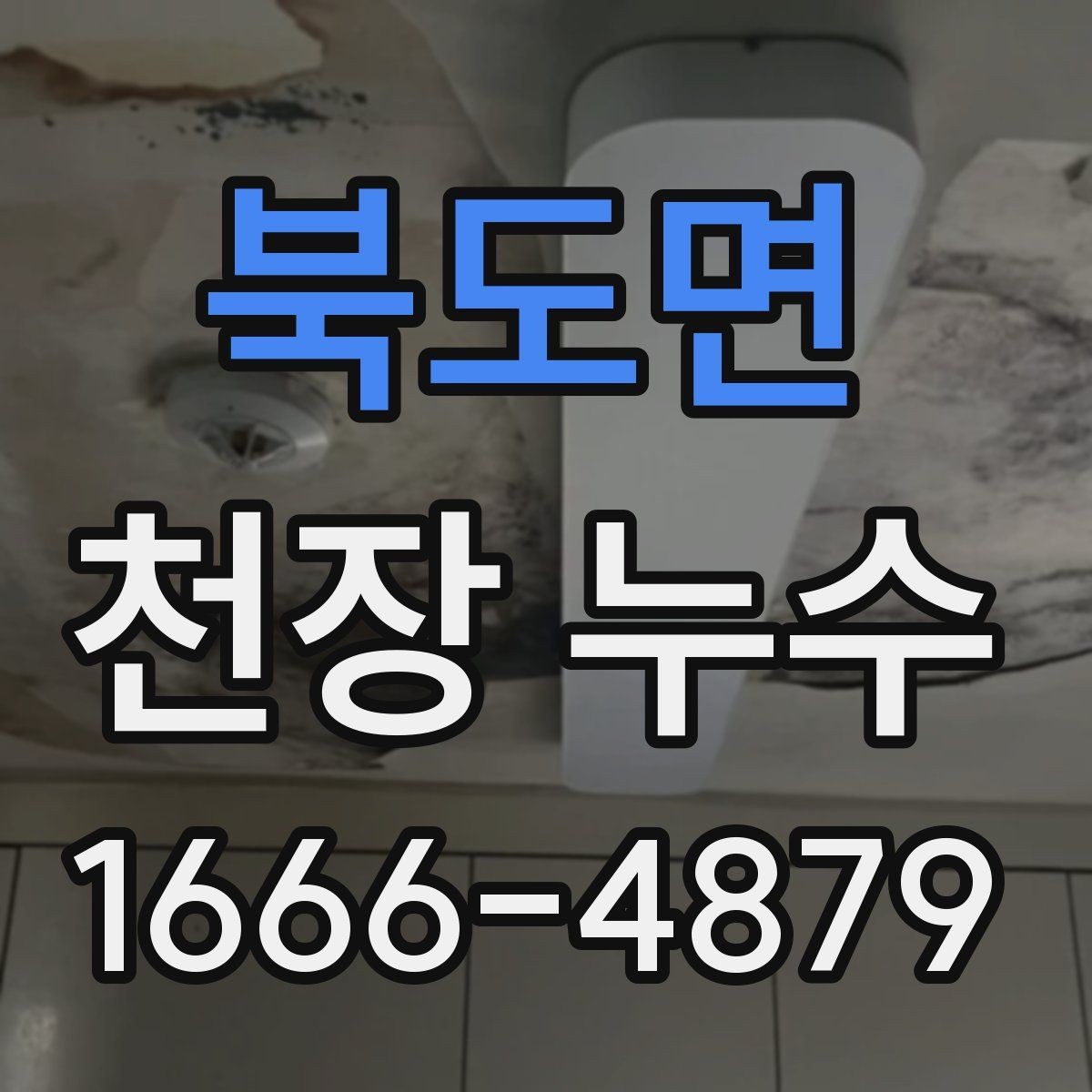 북도면 천장 누수 타일 줄눈 문제로 아래집 천장이 젖는 경우