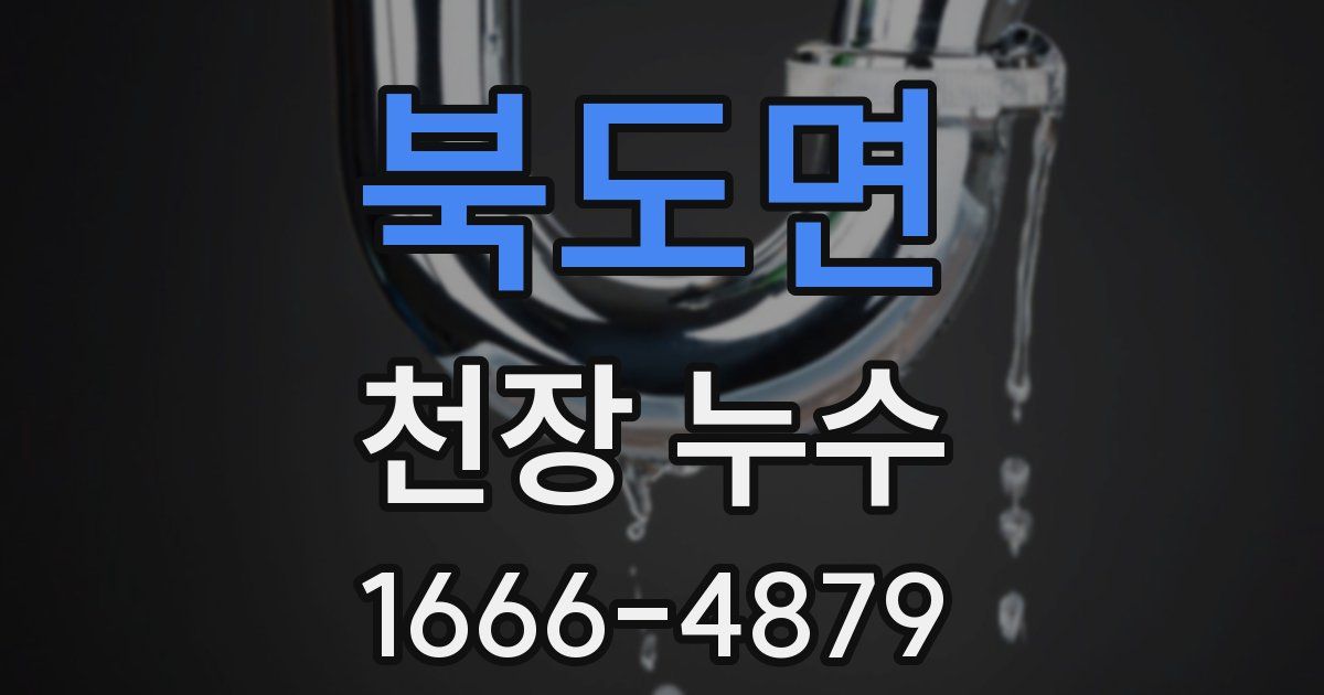 북도면 천장 누수