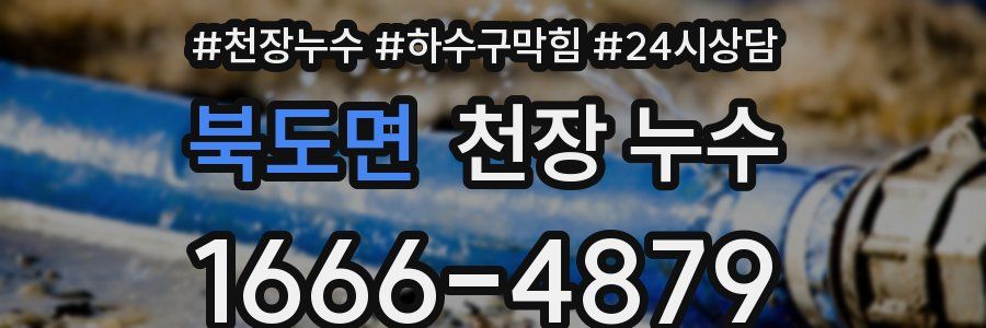 북도면 천장 누수