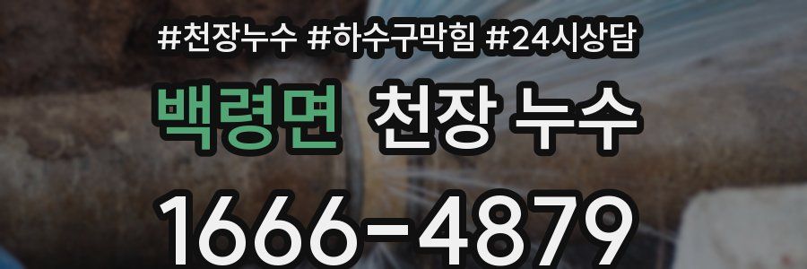 백령면 천장 누수