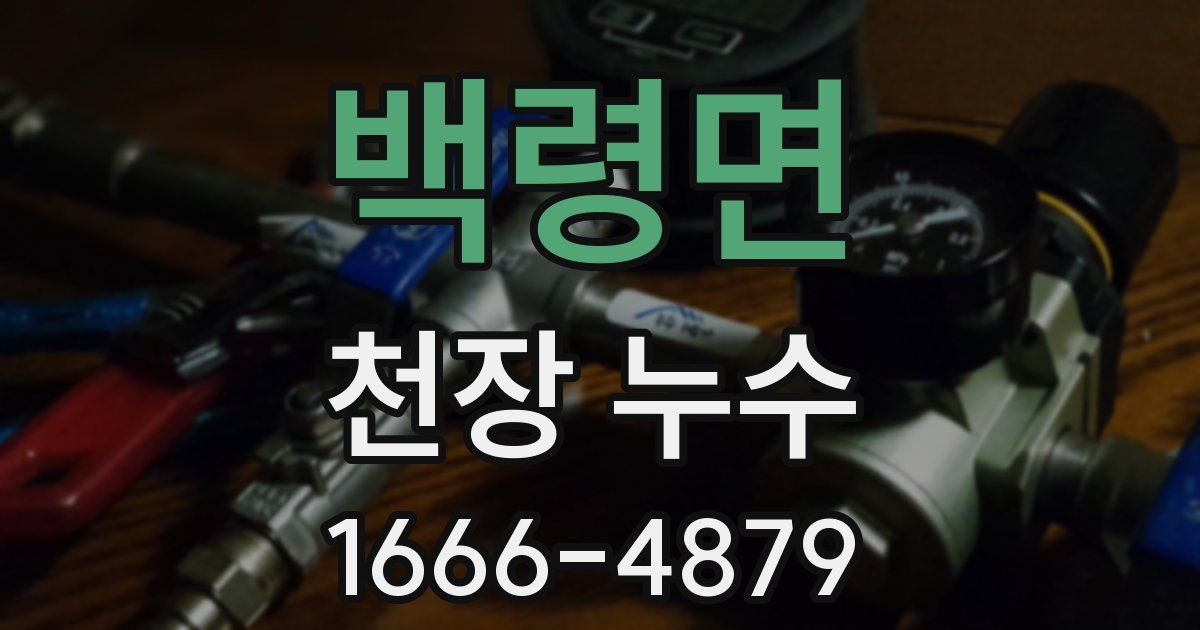 백령면 천장 누수