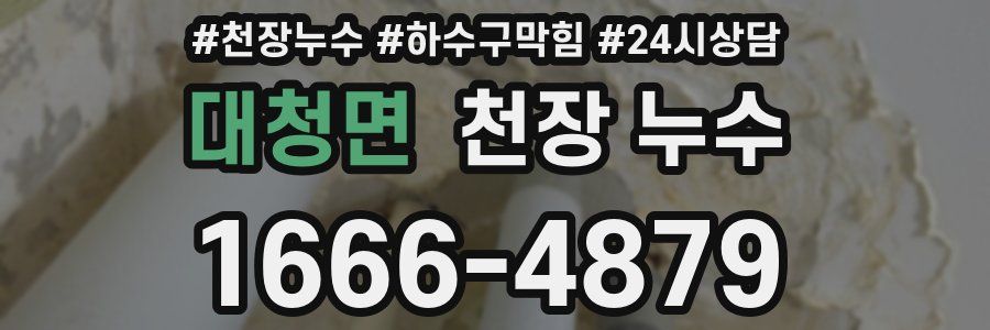 대청면 천장 누수