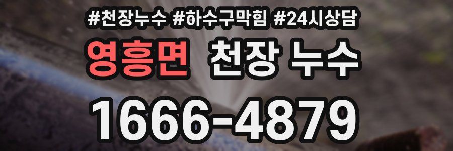 영흥면 천장 누수