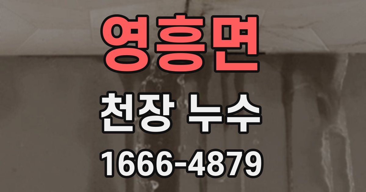 영흥면 천장 누수