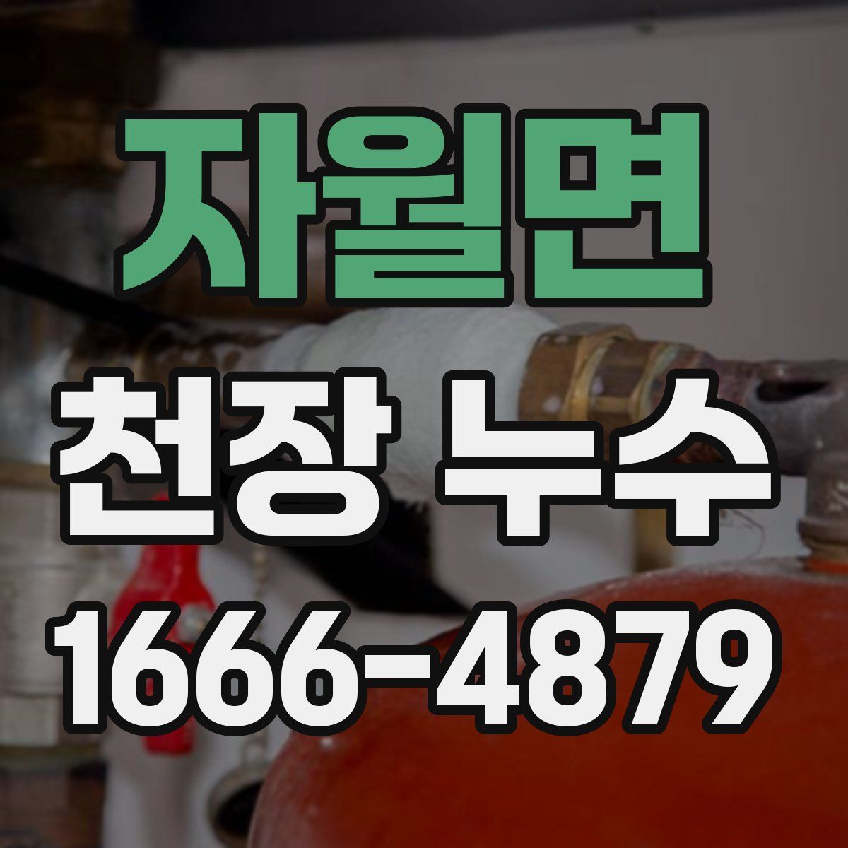 자월면 천장 누수