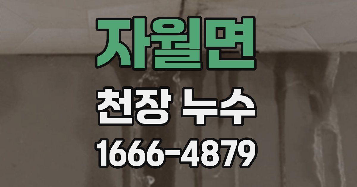 자월면 천장 누수