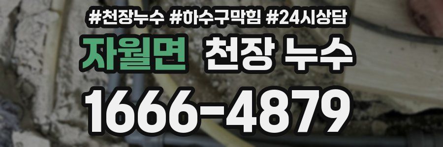 자월면 천장 누수