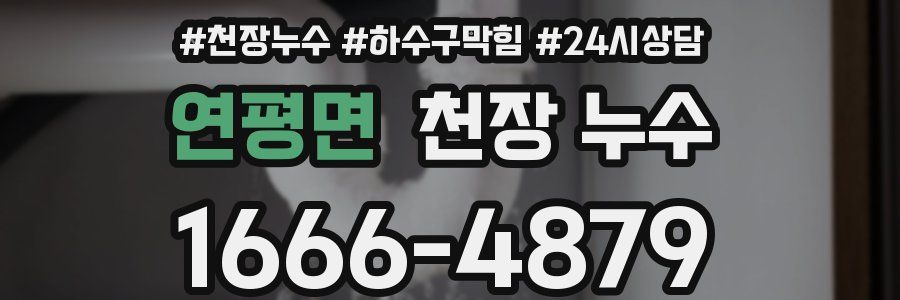 연평면 천장 누수