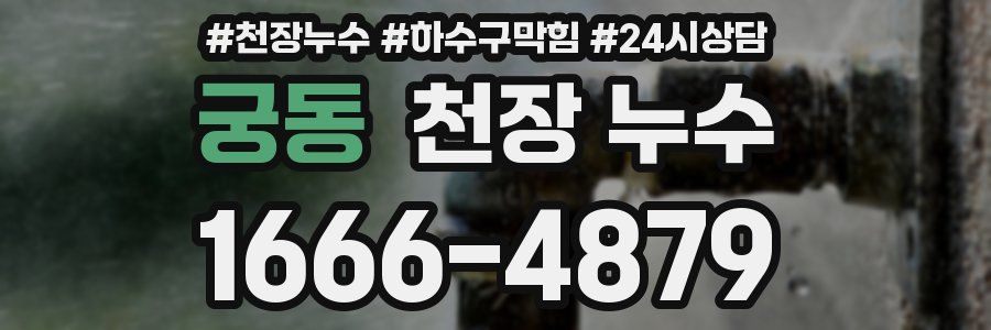 궁동 천장 누수