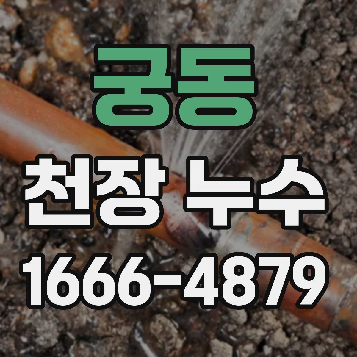 궁동 천장 누수
