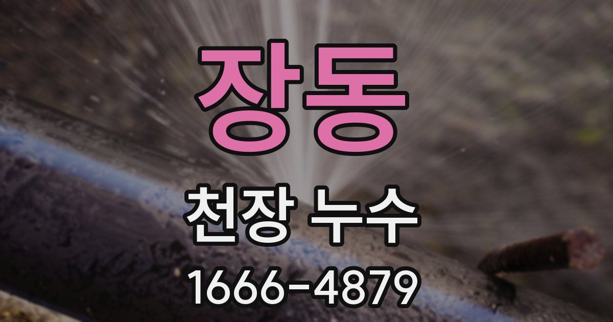 장동 천장 누수