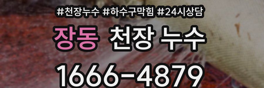 장동 천장 누수