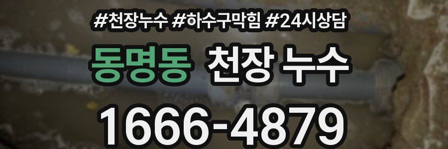 동명동 천장 누수