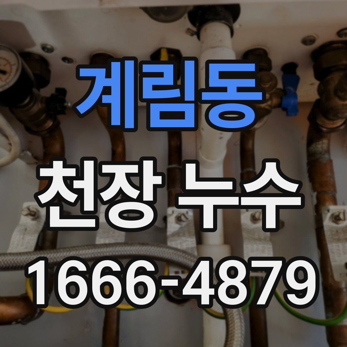 계림동 천장 누수