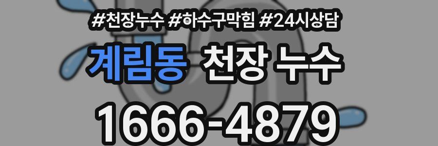 계림동 천장 누수