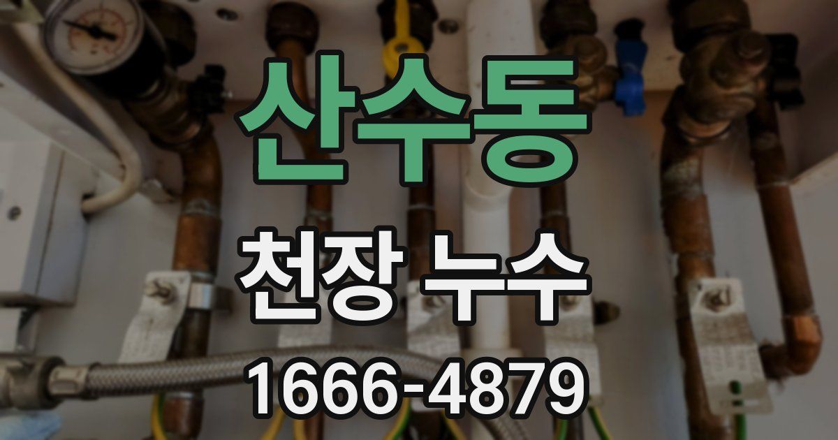 산수동 천장 누수