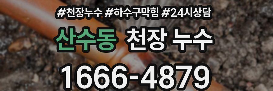 산수동 천장 누수