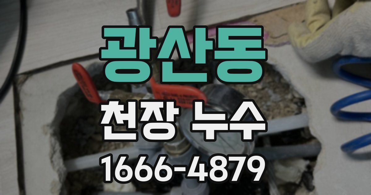 광산동 천장 누수