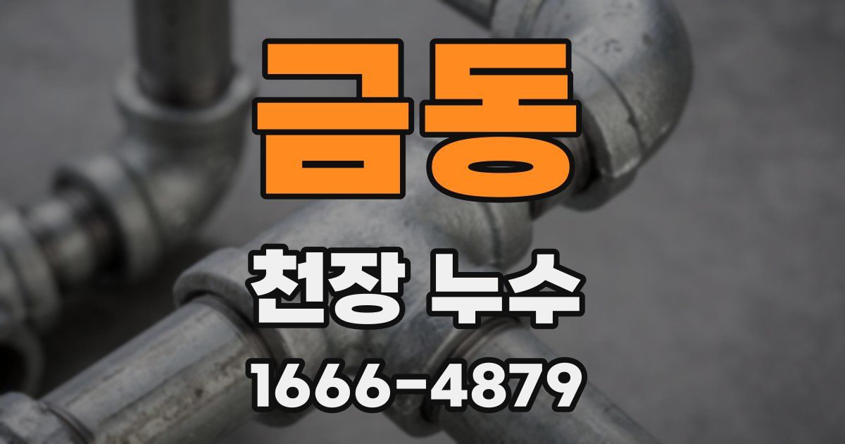 금동 천장 누수