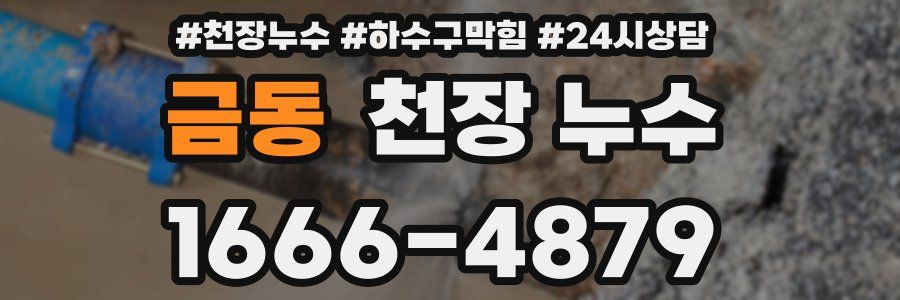 금동 천장 누수