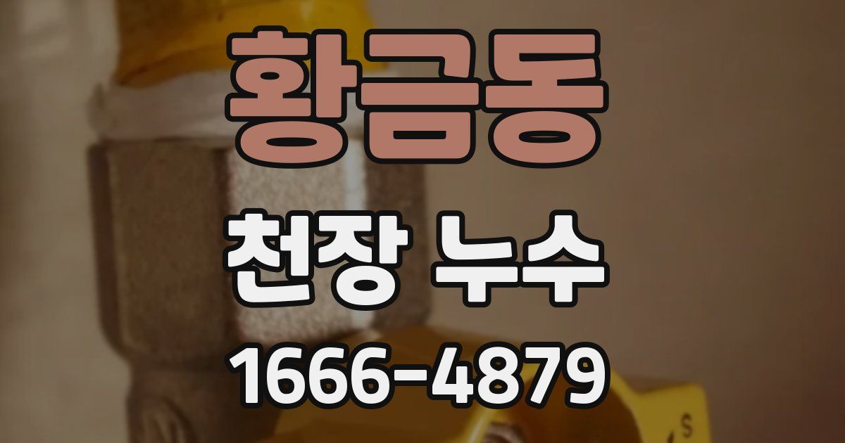 황금동 천장 누수