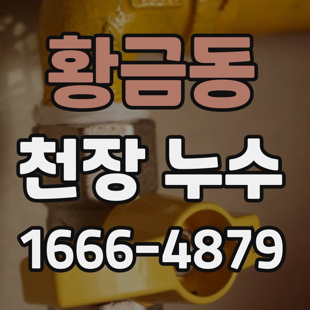 황금동 천장 누수