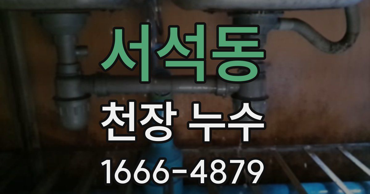 서석동 천장 누수