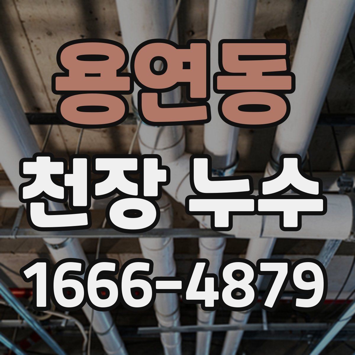 용연동 천장 누수 천장재 안전이 걱정된다면