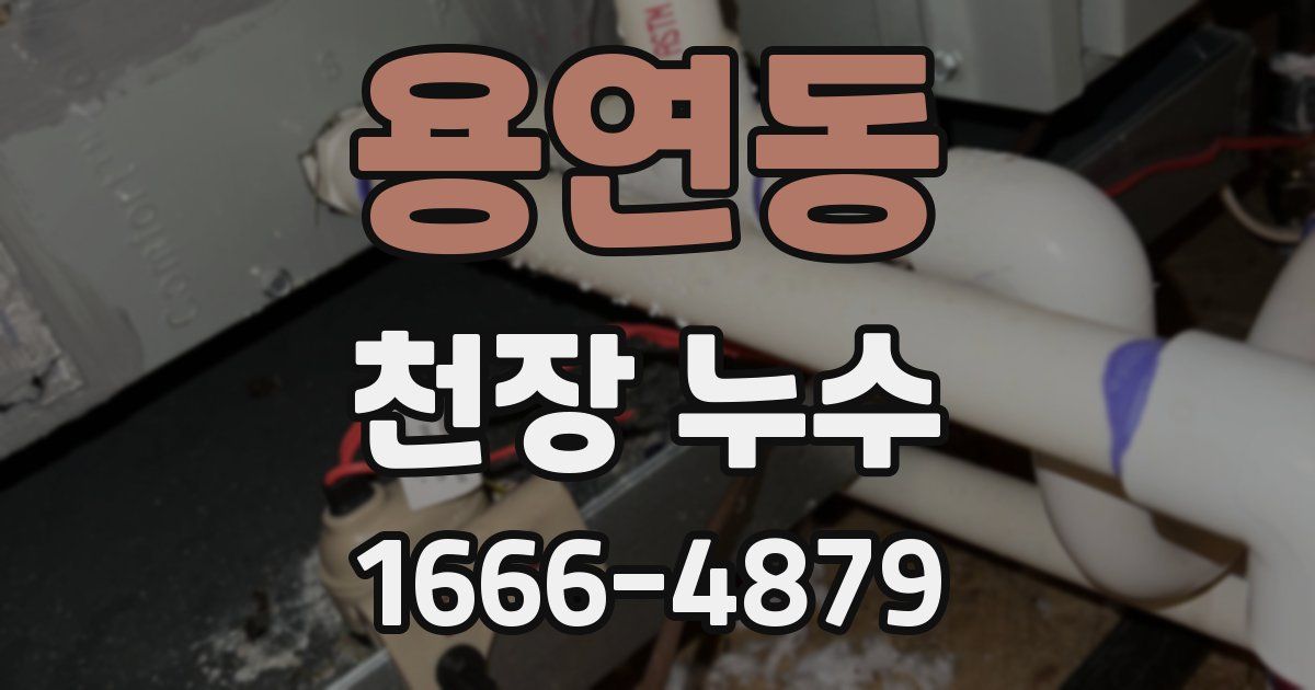 용연동 천장 누수