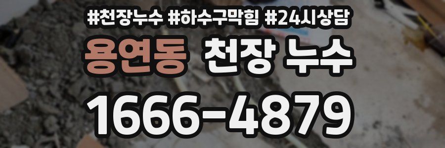 용연동 천장 누수