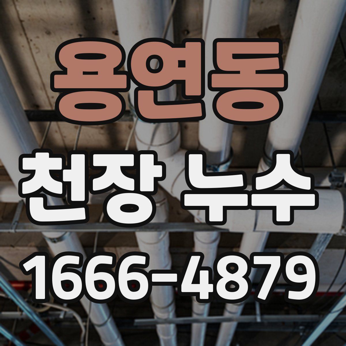 용연동 천장 누수