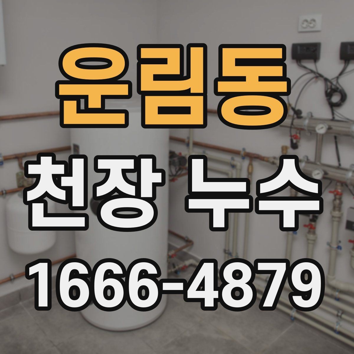 운림동 천장 누수 곰팡이가 번지기 전 확인하세요