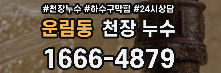 운림동 천장 누수