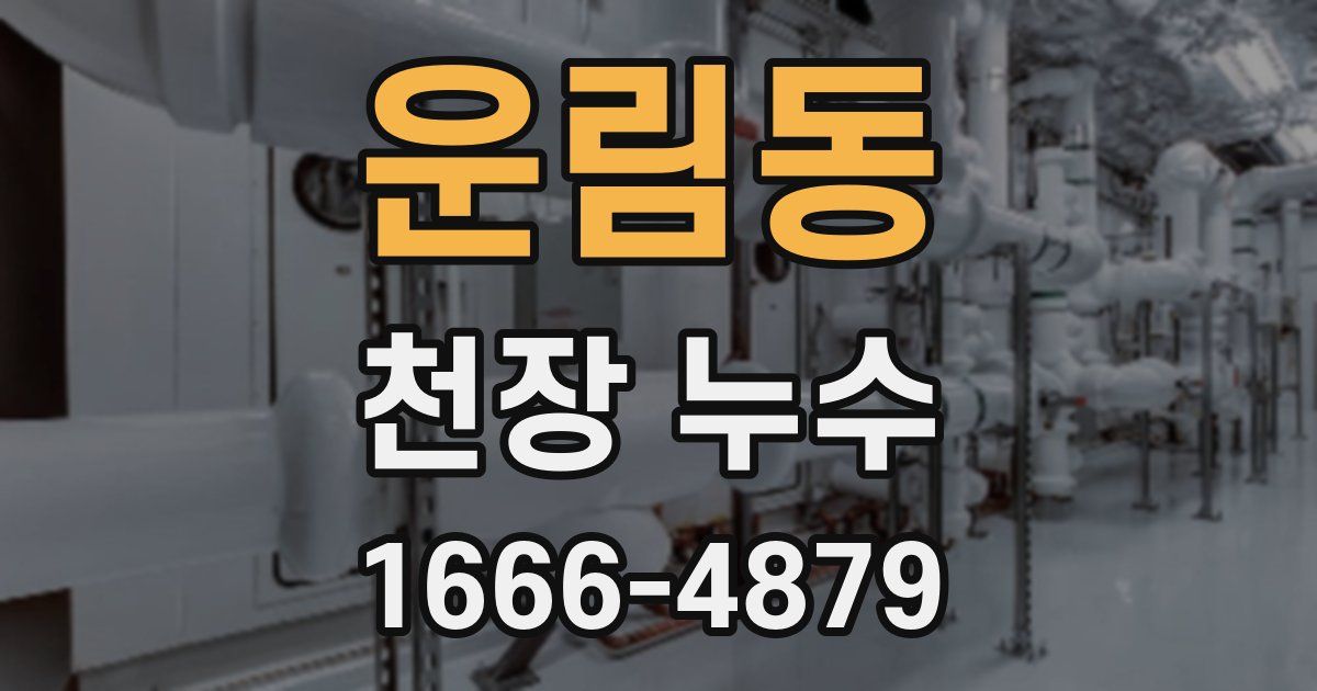 운림동 천장 누수