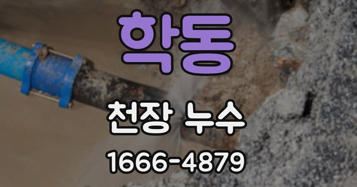 학동 천장 누수